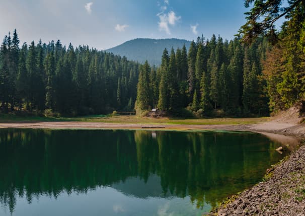 The lake in the mountain in the middle of the forest