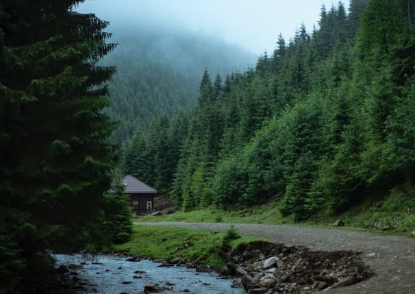 The mountain river near the road